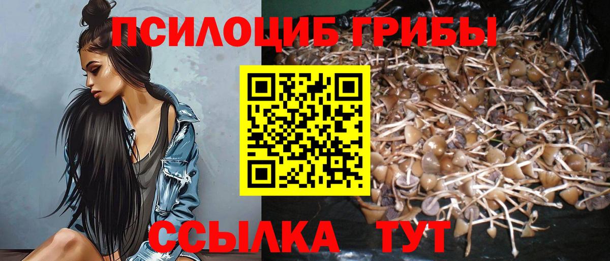 Псилоцибиновые грибы мицелий  Вход с VPN  Майский  Галлюциногенные грибы Magic Shrooms 