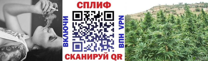 Конопля конопля Майский